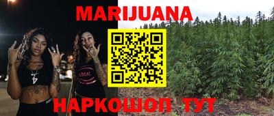 прущие крисы Камышлов