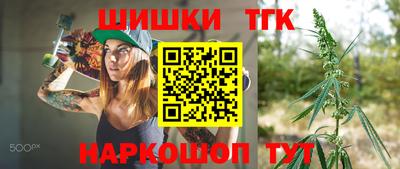 прущие крисы Камышлов