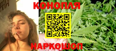 прущие крисы Камышлов
