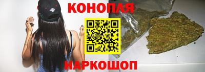 прущие крисы Камышлов