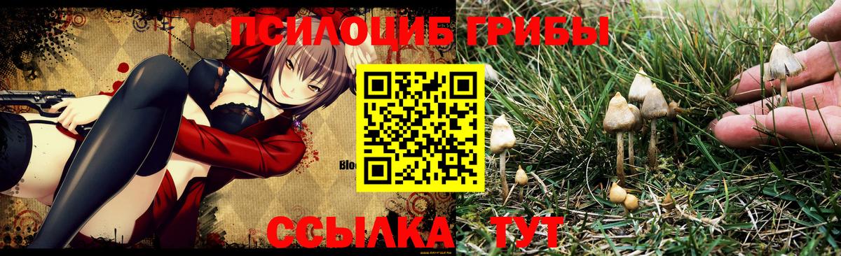 Псилоцибиновые грибы MAGIC MUSHROOMS  Вход с VPN  Галлюциногенные грибы мухоморы  Буйнакск 